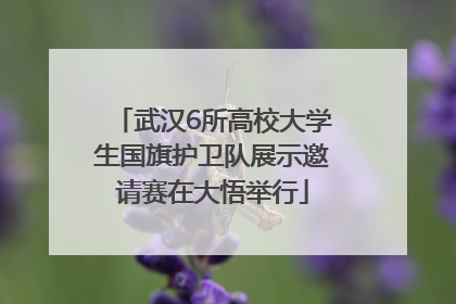 武汉6所高校大学生国旗护卫队展示邀请赛在大悟举行