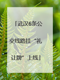 武汉6条公交线路挂“礼让牌”上线