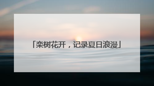 栾树花开，记录夏日浪漫