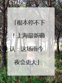 根本停不下！上海最新确认：这场雨今夜会更大