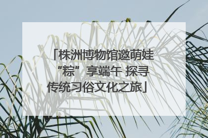 株洲博物馆邀萌娃“粽”享端午 探寻传统习俗文化之旅