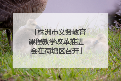 株洲市义务教育课程教学改革推进会在荷塘区召开