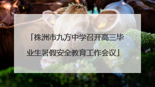 株洲市九方中学召开高三毕业生暑假安全教育工作会议