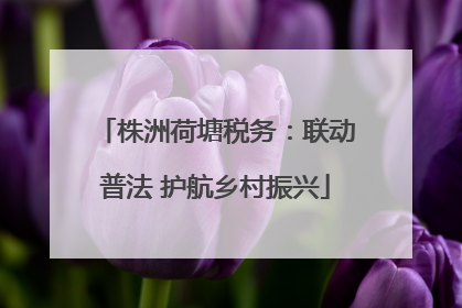 株洲荷塘税务：联动普法 护航乡村振兴