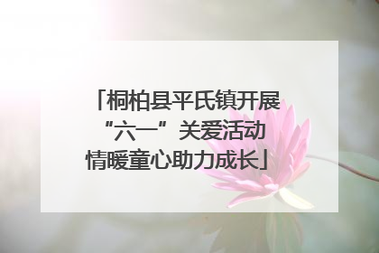 桐柏县平氏镇开展“六一”关爱活动 情暖童心助力成长