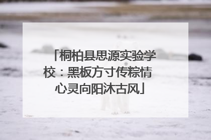 桐柏县思源实验学校：黑板方寸传粽情 心灵向阳沐古风