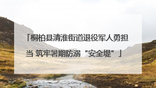 桐柏县清淮街道退役军人勇担当 筑牢暑期防溺“安全堤”