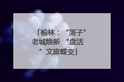 榆林：“落子”老城焕新 “盘活”文旅蝶变