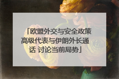 欧盟外交与安全政策高级代表与伊朗外长通话 讨论当前局势