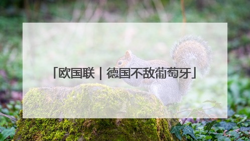 欧国联｜德国不敌葡萄牙