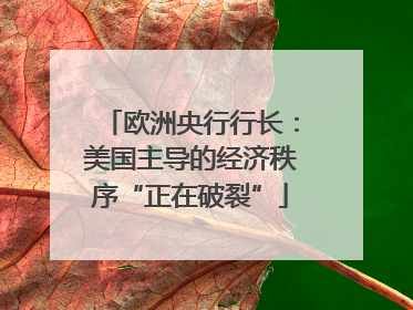 欧洲央行行长：美国主导的经济秩序“正在破裂”