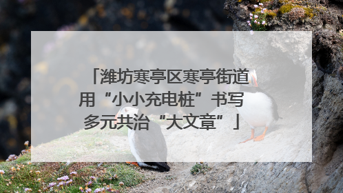 潍坊寒亭区寒亭街道用“小小充电桩”书写多元共治“大文章”