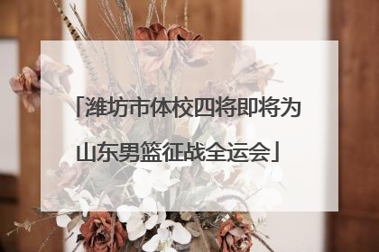 潍坊市体校四将即将为山东男篮征战全运会