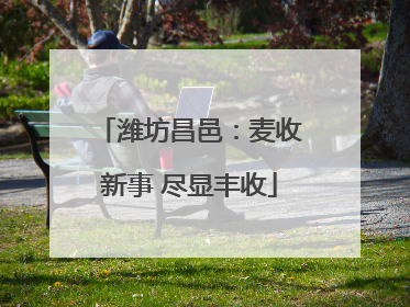 潍坊昌邑：麦收新事 尽显丰收