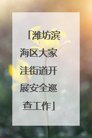 潍坊滨海区大家洼街道开展安全巡查工作