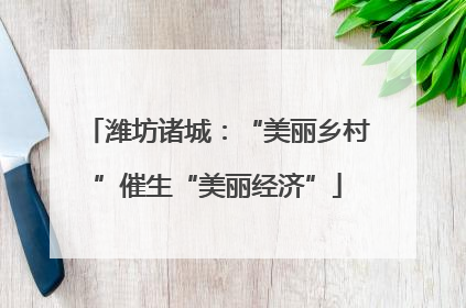 潍坊诸城：“美丽乡村”催生“美丽经济”