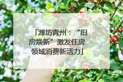 潍坊青州：“旧房焕新”激发住房领域消费新活力