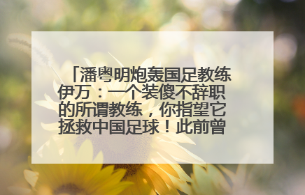 潘粤明炮轰国足教练伊万：一个装傻不辞职的所谓教练，你指望它拯救中国足球！此前曾多次发文评价国足