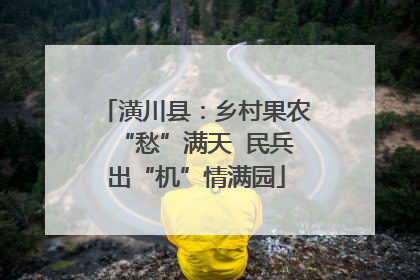 潢川县：乡村果农“愁”满天  民兵出“机”情满园