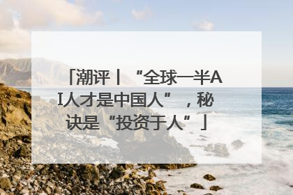 潮评丨“全球一半AI人才是中国人”，秘诀是“投资于人”