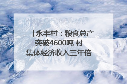 永丰村：粮食总产突破4600吨 村集体经济收入三年倍增｜牵挂的村