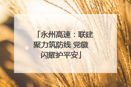 永州高速：联建聚力筑防线 党徽闪耀护平安