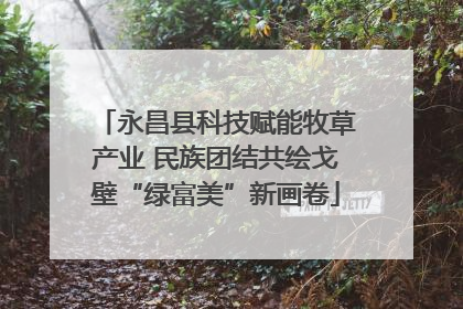永昌县科技赋能牧草产业 民族团结共绘戈壁“绿富美”新画卷