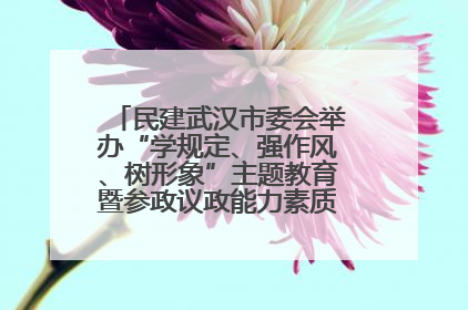 民建武汉市委会举办“学规定、强作风、树形象”主题教育暨参政议政能力素质提升培训班