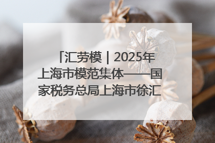 汇劳模｜2025年上海市模范集体——国家税务总局上海市徐汇区税务局第一税务所