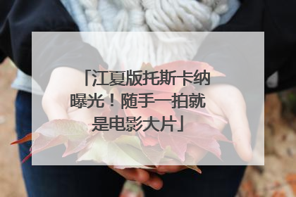 江夏版托斯卡纳曝光！随手一拍就是电影大片