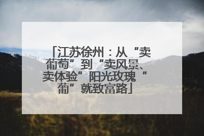 江苏徐州：从“卖葡萄”到“卖风景、卖体验”阳光玫瑰“葡”就致富路