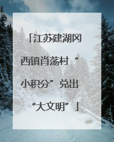 江苏建湖冈西镇肖荡村“小积分”兑出“大文明”