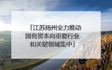 江苏扬州全力推动国有资本向重要行业和关键领域集中