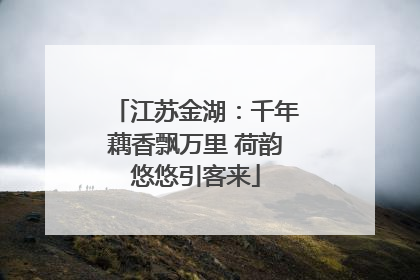 江苏金湖：千年藕香飘万里 荷韵悠悠引客来