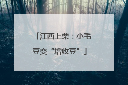 江西上栗：小毛豆变“增收豆”