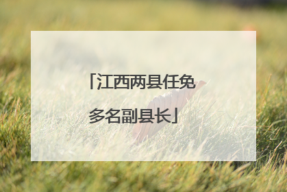 江西两县任免多名副县长