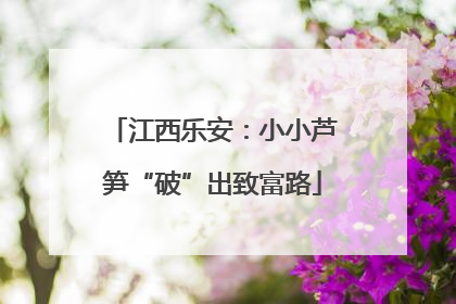 江西乐安：小小芦笋“破”出致富路