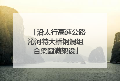 沿太行高速公路沁河特大桥钢混组合梁圆满架设