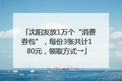 沈阳发放1万个“消费券包”，每份3张共计180元，领取方式→