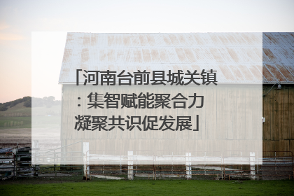 河南台前县城关镇：集智赋能聚合力 凝聚共识促发展