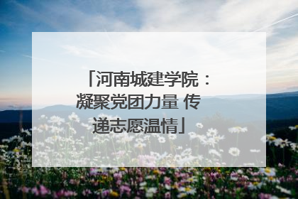 河南城建学院：凝聚党团力量 传递志愿温情