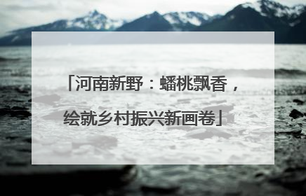 河南新野：蟠桃飘香，绘就乡村振兴新画卷