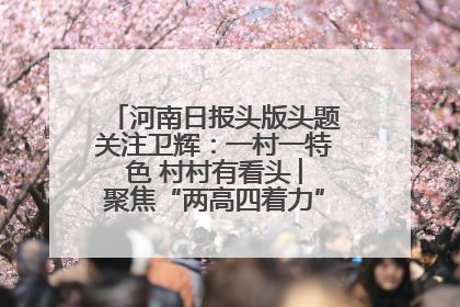 河南日报头版头题关注卫辉：一村一特色 村村有看头 ︳聚焦“两高四着力”·一“县”观察