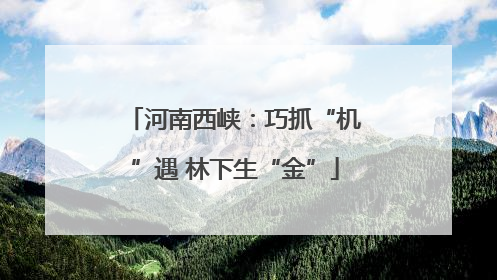 河南西峡：巧抓“机”遇 林下生“金”