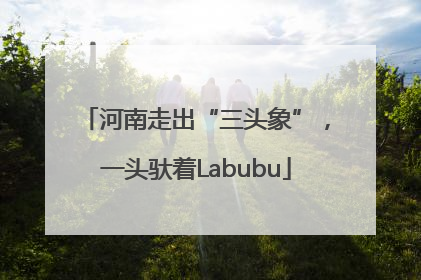 河南走出“三头象”，一头驮着Labubu