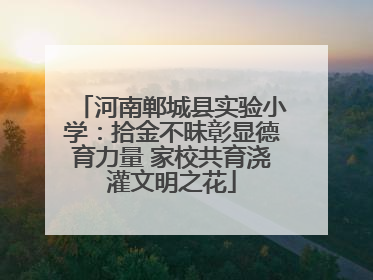 河南郸城县实验小学：拾金不昧彰显德育力量 家校共育浇灌文明之花
