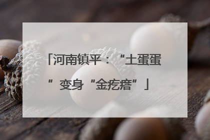 河南镇平：“土蛋蛋”变身“金疙瘩”