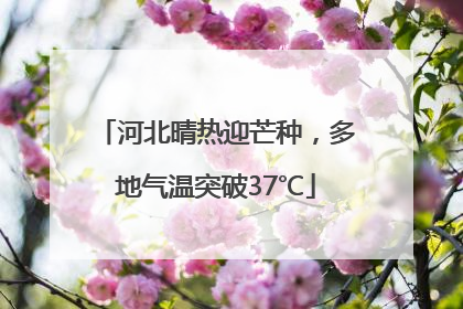 河北晴热迎芒种，多地气温突破37℃
