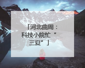 河北曲周：科技小院忙“三夏”