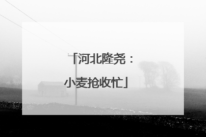 河北隆尧：小麦抢收忙